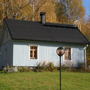Koli Freetime