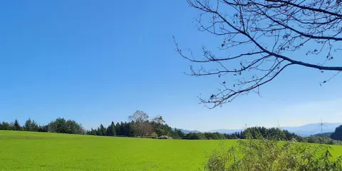 Am Kandelhöhenweg Auf der Alm