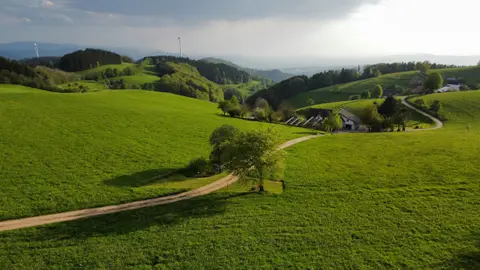 Am Kandelhöhenweg Auf der Alm