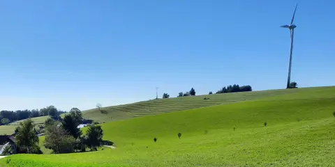 Am Kandelhöhenweg Auf der Alm