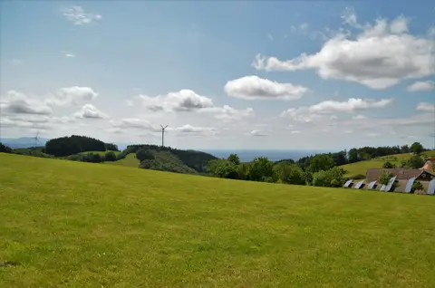 Am Kandelhöhenweg Auf der Alm
