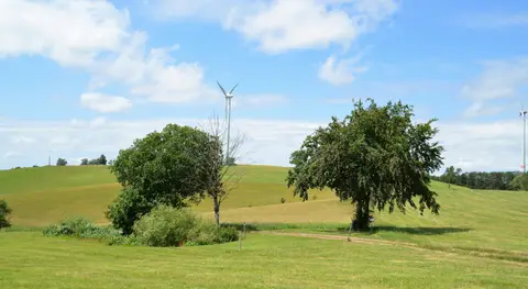 Am Kandelhöhenweg Auf der Alm