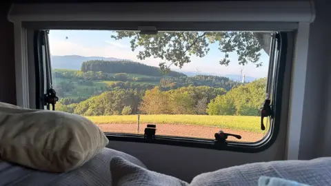 Natur pur - beim Kölble Hof - Eiche