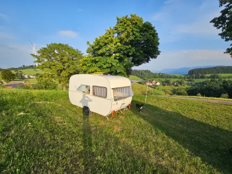 Natur pur - beim Kölble Hof - Eiche