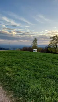 Natur pur - beim Kölble Hof - Eiche