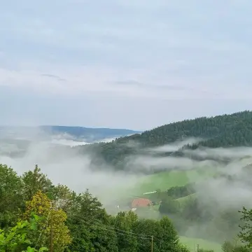 Entschleunigte Schwarzwald Idylle