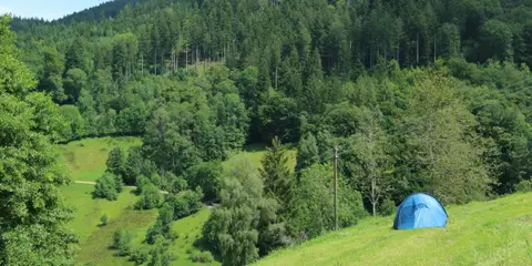 Entschleunigte Schwarzwald Idylle