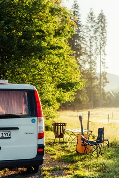 Plätzchen an der Sommerweide