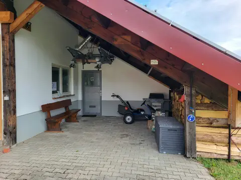 Plätzchen an der Sommerweide