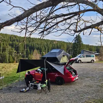 Plätzchen an der Sommerweide