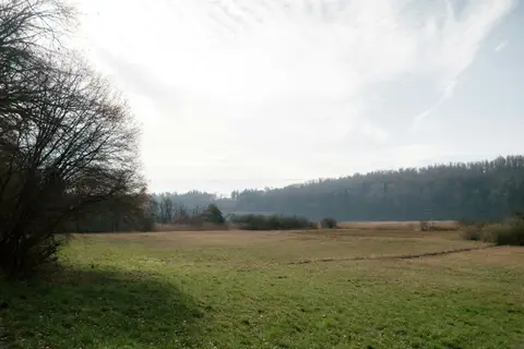 Hirtenhof