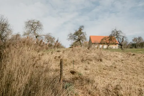 Hirtenhof