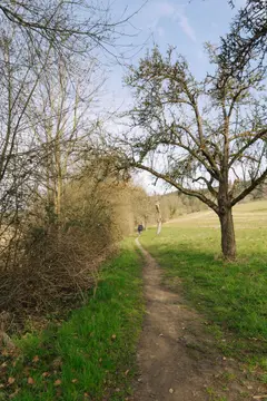 Hirtenhof