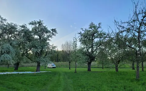 Hirtenhof