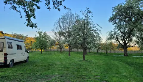 Hirtenhof
