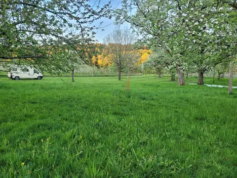 Hirtenhof