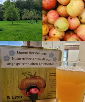 Hirtenhof