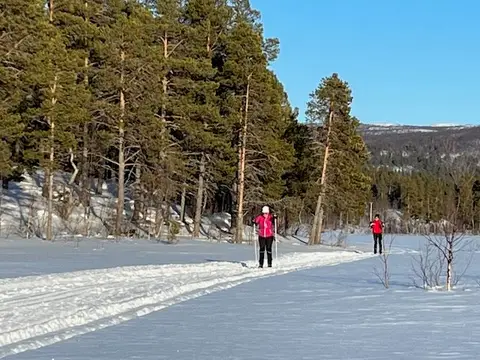 Adolfström Camping