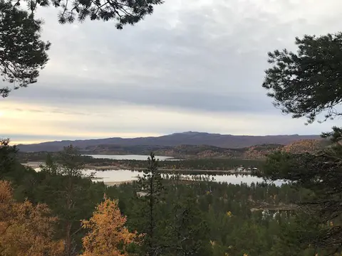 Adolfström Camping