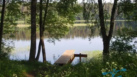 Pakretuonės stovyklavietė