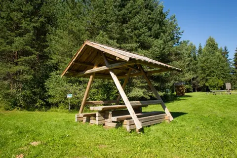 Pähni metsaonn