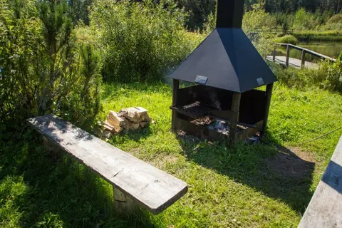Pähni metsaonn
