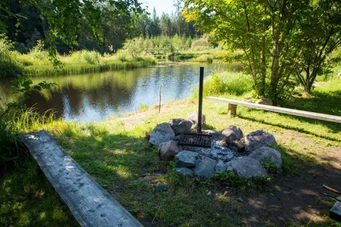 Pähni metsaonn
