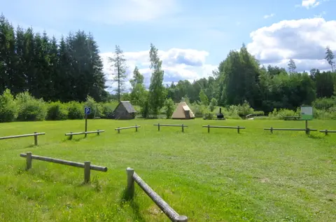 Pähni metsaonn