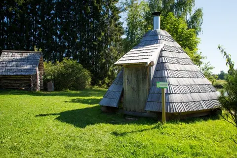 Pähni metsaonn