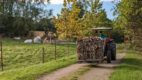 Lille Græsgård Feriegård & Farmcamping