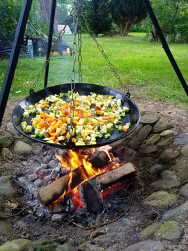 Lille Græsgård Feriegård & Farmcamping