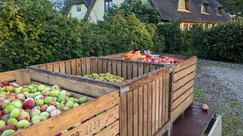 Lille Græsgård Feriegård & Farmcamping