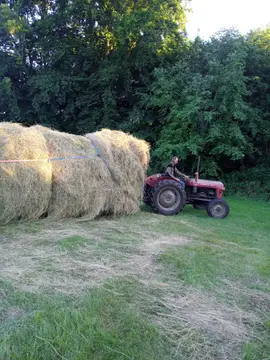 Lille Græsgård Feriegård & Farmcamping
