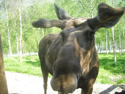 Bardu Camping & Turistsenter