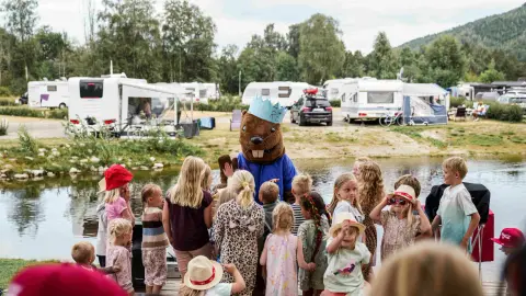 Beverøya Camping