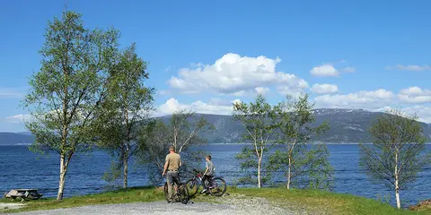 Botnen Camping