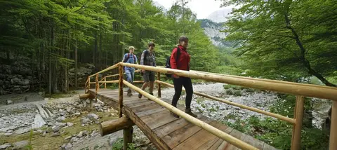 Turistična kmetija Pečovnik-Ošep