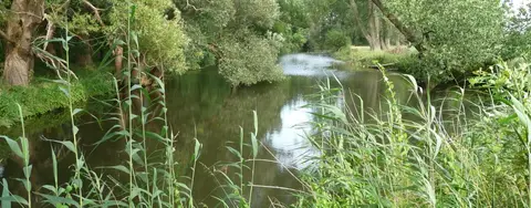 Aller Camping Früh Auf Celle