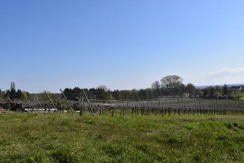 Domaine Bachert