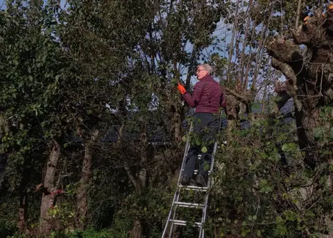 Re-creatieoord De Hoogewaard