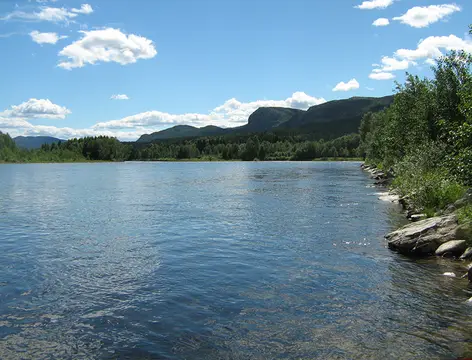 Koppang Camping & Hytteutleie