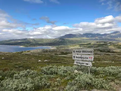 Nesjø Båtutleie