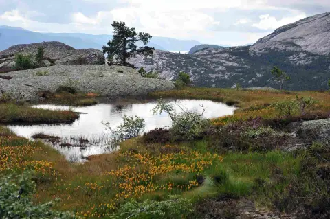 Sanda Camping og Hytteutleie