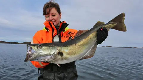 Nord-Flatanger Sjøhus