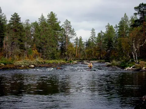 Sømådalen Camping