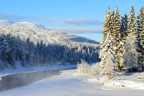 Trysil Hyttegrend, Motell og Camping