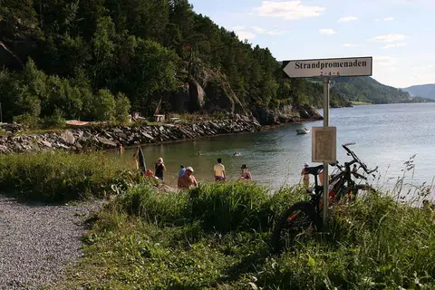 Tråsåvika Camping