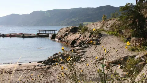 Tråsåvika Camping