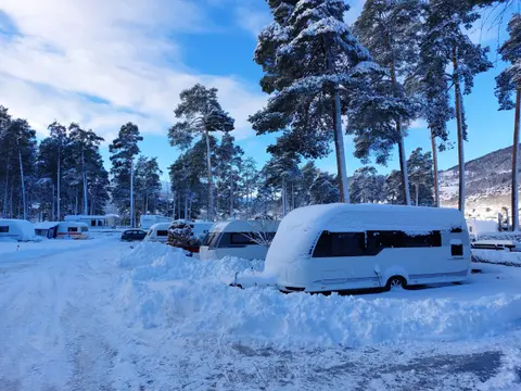 Voss Camping