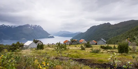 Årskogvika Camping